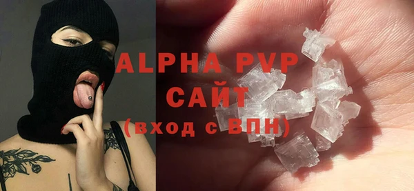 стафф Алексин