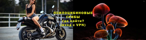 амф Алексеевка