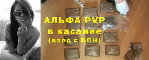 стафф Алексин
