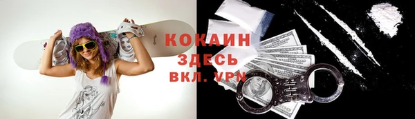 стафф Алексин