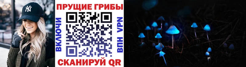 Галлюциногенные грибы Cubensis  купить закладку  Домодедово 