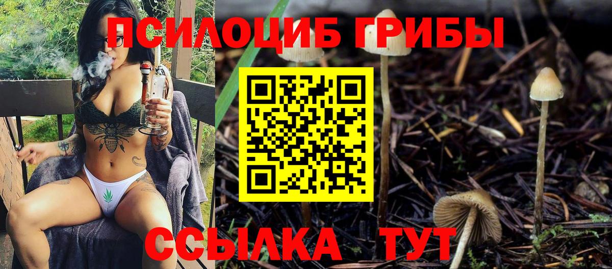 Домодедово  магазин  наркотиков  Галлюциногенные грибы GOLDEN TEACHER  Вход с VPN  Галлюциногенные грибы ЛСД 